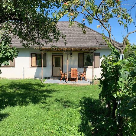 Urlaub Im Weingarten Winten (Burgenland) Exterior foto