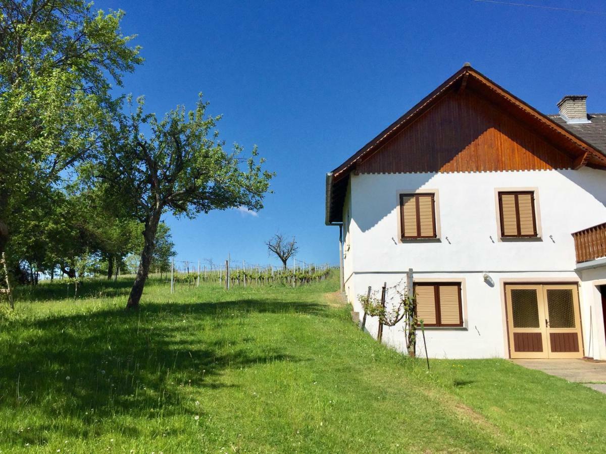 Urlaub Im Weingarten Winten (Burgenland) Exterior foto