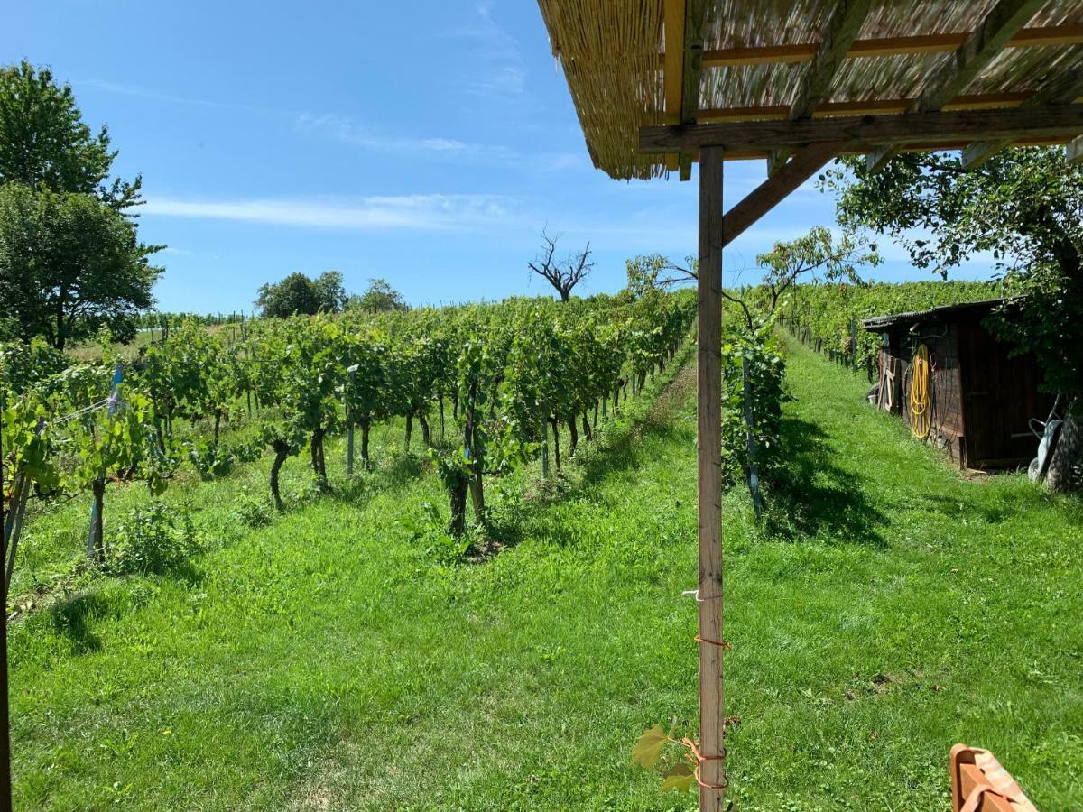 Urlaub Im Weingarten Winten (Burgenland) Exterior foto