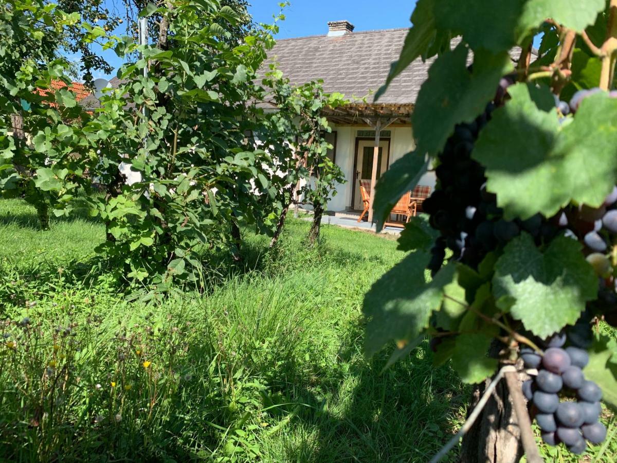 Urlaub Im Weingarten Winten (Burgenland) Exterior foto