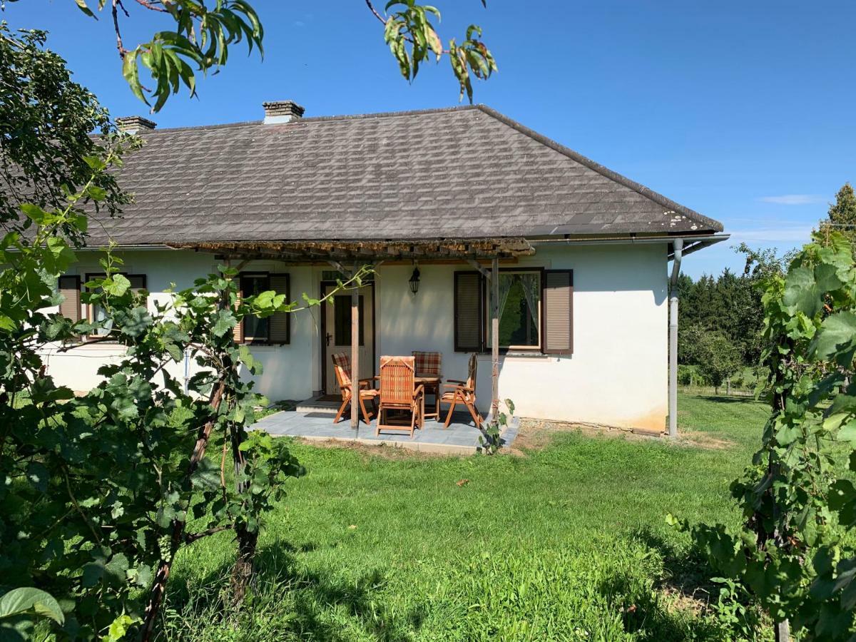 Urlaub Im Weingarten Winten (Burgenland) Exterior foto
